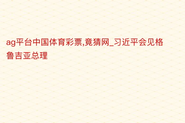 ag平台中国体育彩票,竟猜网_习近平会见格鲁吉亚总理