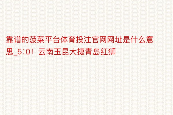 靠谱的菠菜平台体育投注官网网址是什么意思_5∶0！云南玉昆大捷青岛红狮